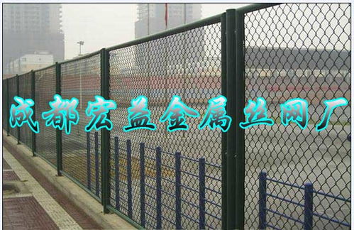 四川体育场护栏 成都体育场围栏网 勾花网护栏产品大图 成都宏衣金属丝网厂